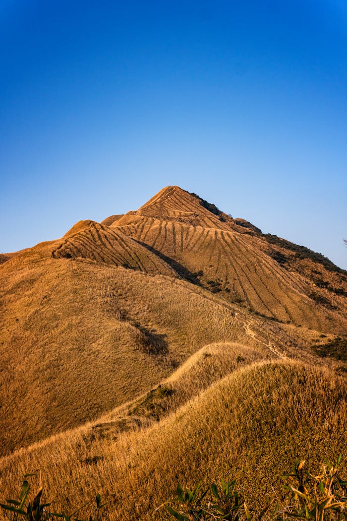 who-we-are A stunning view of a golden pyramid-shaped mountain during summer, under a clear blue sky.